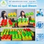 Vỉ hoa quả Steam, trang trí mầm non , steam mầm non, mô hình nông trại ,rau củ quả - Xưởng mầm non anh hoa