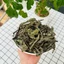 Bồ công anh 100g, trà bồ công anh khô, sạch, giúp lợi sữa, mát sữa, thanh nhiệt, giải độc, mát gan