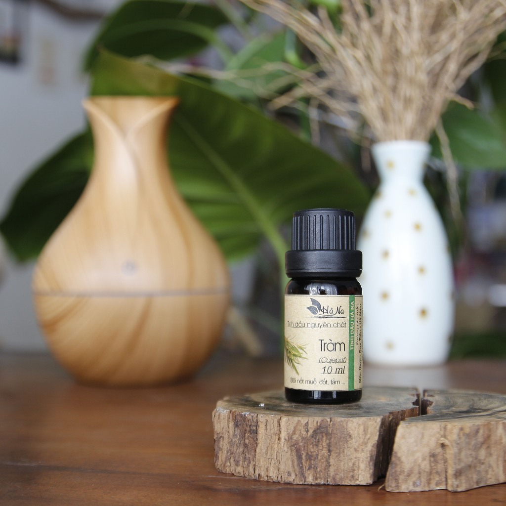 Tinh Dầu Tràm Gió Nguyên Chất – Giữ Ấm, Giảm Ho, Đuổi Muỗi, An Toàn Cho Bé & Mẹ Bầu