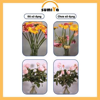 Nước dưỡng hoa giúp hoa tươi lâu không mùi hôi Dr Natro kích nở hoa - sumiya