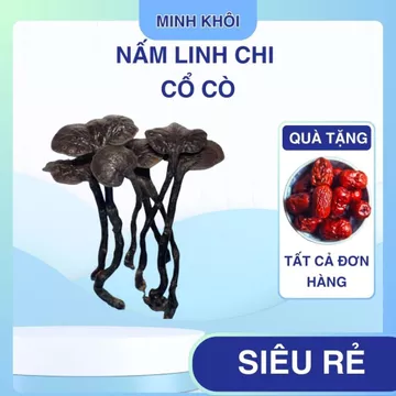 Nấm Lim Xanh, Nấm Linh Chi Cổ Cò Chuẩn rừng Tây Bắc, Nấm linh chi đỏ, linh chi sừng hươu