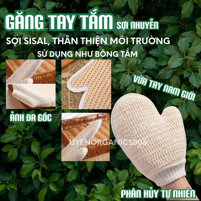 Thiết kế của Đôi Găng Tay