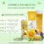 Toner cấp ẩm và phục hồi cho da dầu mụn SKIN TÙY TÂM PHARMA - sử dụng phức hợp solution toner for glass skin - 100ml