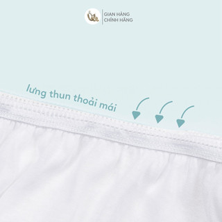 M&B (L,XL,XXL) Set 5 quần lót tiện lợi sử dụng 1 lần cao cấp M&B cho mẹ bầu, mẹ sau sinh từ 40kg đến 70kg