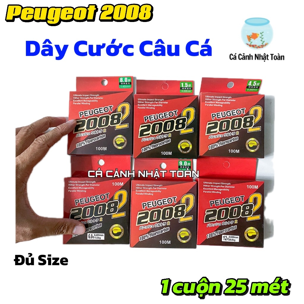DÂY CƯỚC PEUGEOT 2008 PHÁP TÀN HÌNH CÂU CÁ BỀN