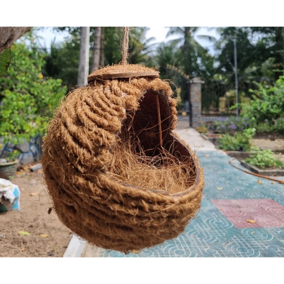 Tổ chim, tổ sinh sản bằng gáo dừa cắt hàm ếch được quấn chỉ xơ dừa xung ...