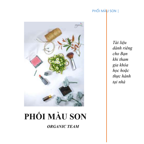 TÀI LIỆU PHỐI MÀU SON HANDMADE
