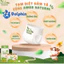 Tã Bỉm Dán/Quần Amor Natural Mềm Mại, Mặt Bông Organic, Tinh Chất Vitamin E, Đủ Size Cho Bé Từ 5 - 21kg Chính Hãng