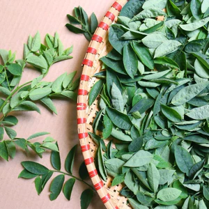 Rau Ngót Sấy Khô 500g – Rau Sạch Tự Nhiên – Dùng Nấu Canh – Ăn Chay – Không Gia Vị – Không Chất Bảo Quản