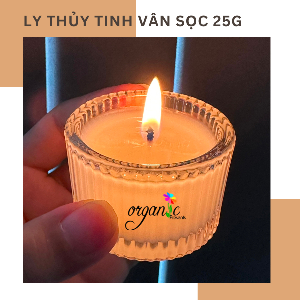LY THỦY TINH ĐỰNG NẾN THƠM / TEALIGHT 25G (8 MÀU)