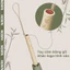 Ô dù truyền thống Nason Umbrella Bambrella thiết kế độc đáo, công nghệ hiện lá khi gặp nước mưa, chống nắng chống UV