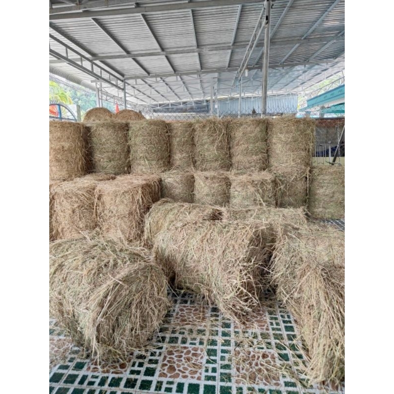 RƠM CUỘN (15KG - 18KG)/ RƠM KHÔ CỦ CHI/ TRỒNG NẤM, TRANG TRÍ, DECOR ...