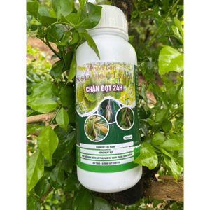 Chặn đọt 24h chính hãng 500ml