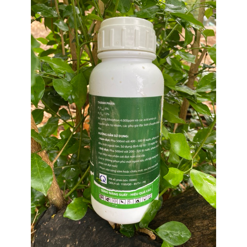 Chặn đọt 24h chính hãng 500ml