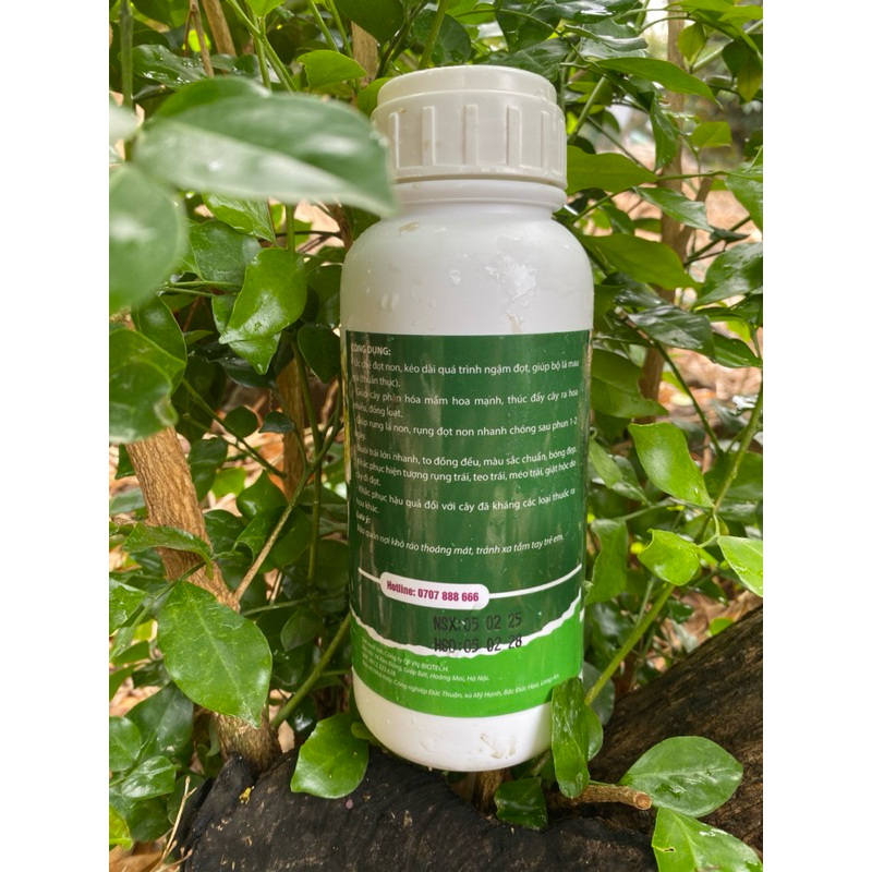 Chặn đọt 24h chính hãng 500ml