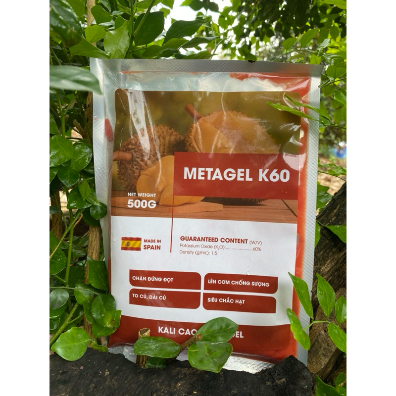 kali gel 61 vàng cơm, cứng cây, đứng đọt Tây Ban Nha 500gr