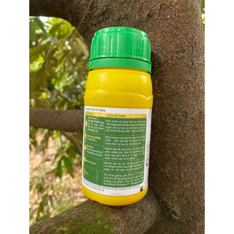 Ogano Forge Chính Hãng Hợp Trí 250ml