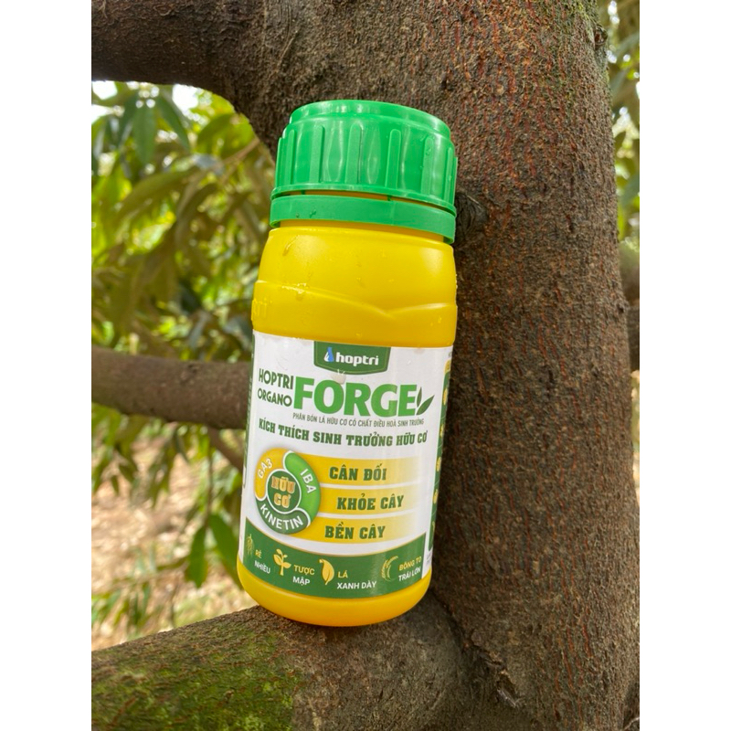 Ogano Forge Chính Hãng Hợp Trí 250ml
