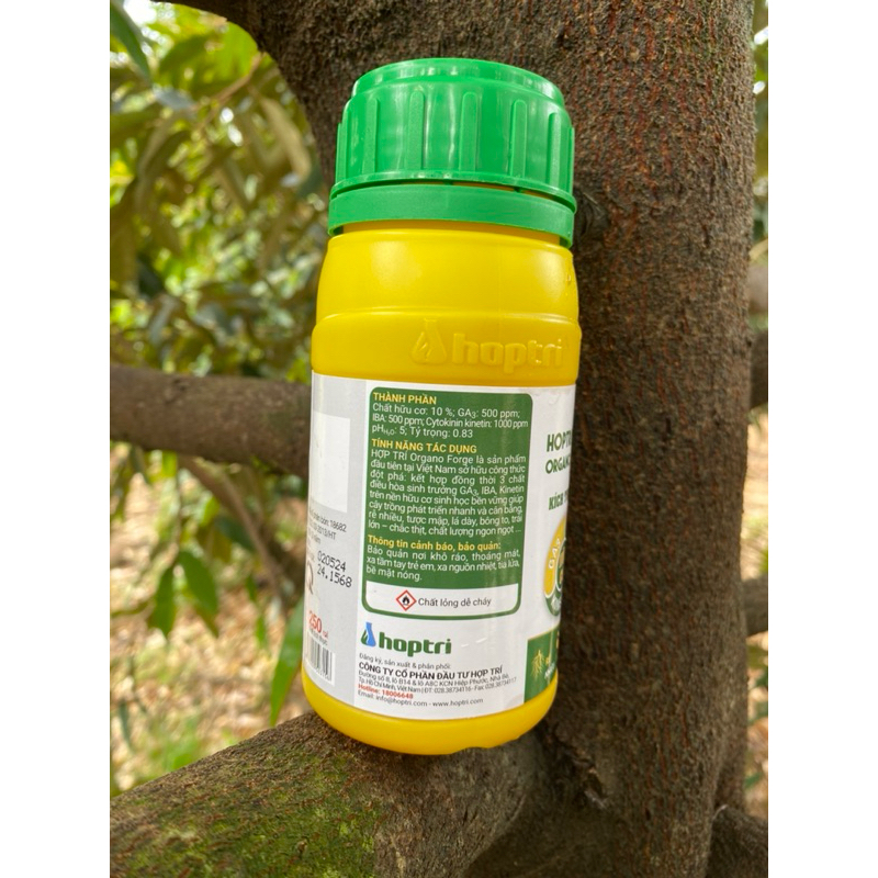 Ogano Forge Chính Hãng Hợp Trí 250ml