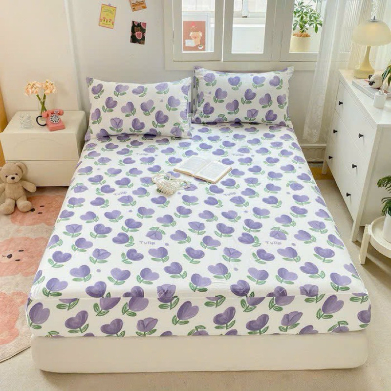 Ảnh Bộ Ga Gối 3 Món Cotton đũi kẻ bodecor chất liệu đũi mềm mại thoáng mát nhiều mẫu đủ kích thước 2