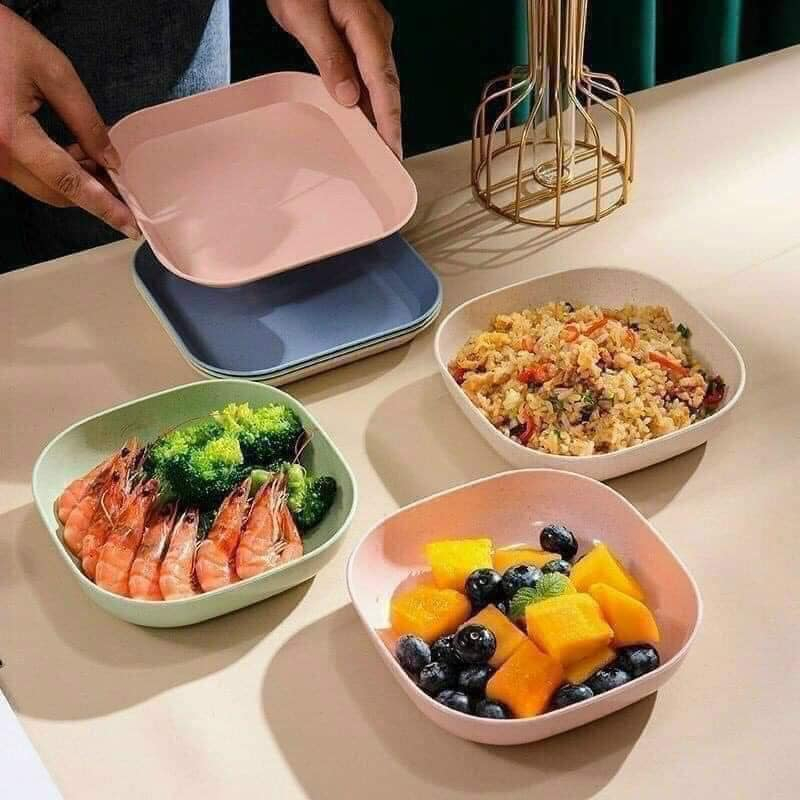 SET 8 ĐĨA LÚA MẠCH NHỰA NHIỀU MÀU TIỆN LỢI