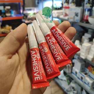 Keo Dán Cây Thủy Sinh, Cây Không Khí - Tuýp 5g - An Toàn Cho Cá Tép