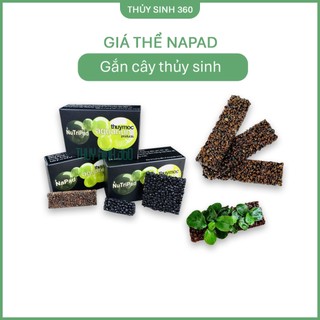 Napad Thủy Mộc - Giá Thể Trồng Cây Thủy Sinh Rêu, Ráy, Bucep, Trầu, Liễu Răng Cưa...
