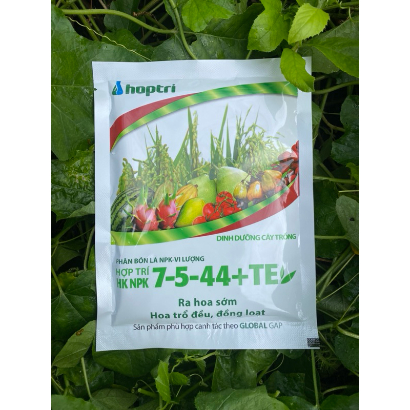 7-5-44 + TE chính hãng Hợp Trí 250gr