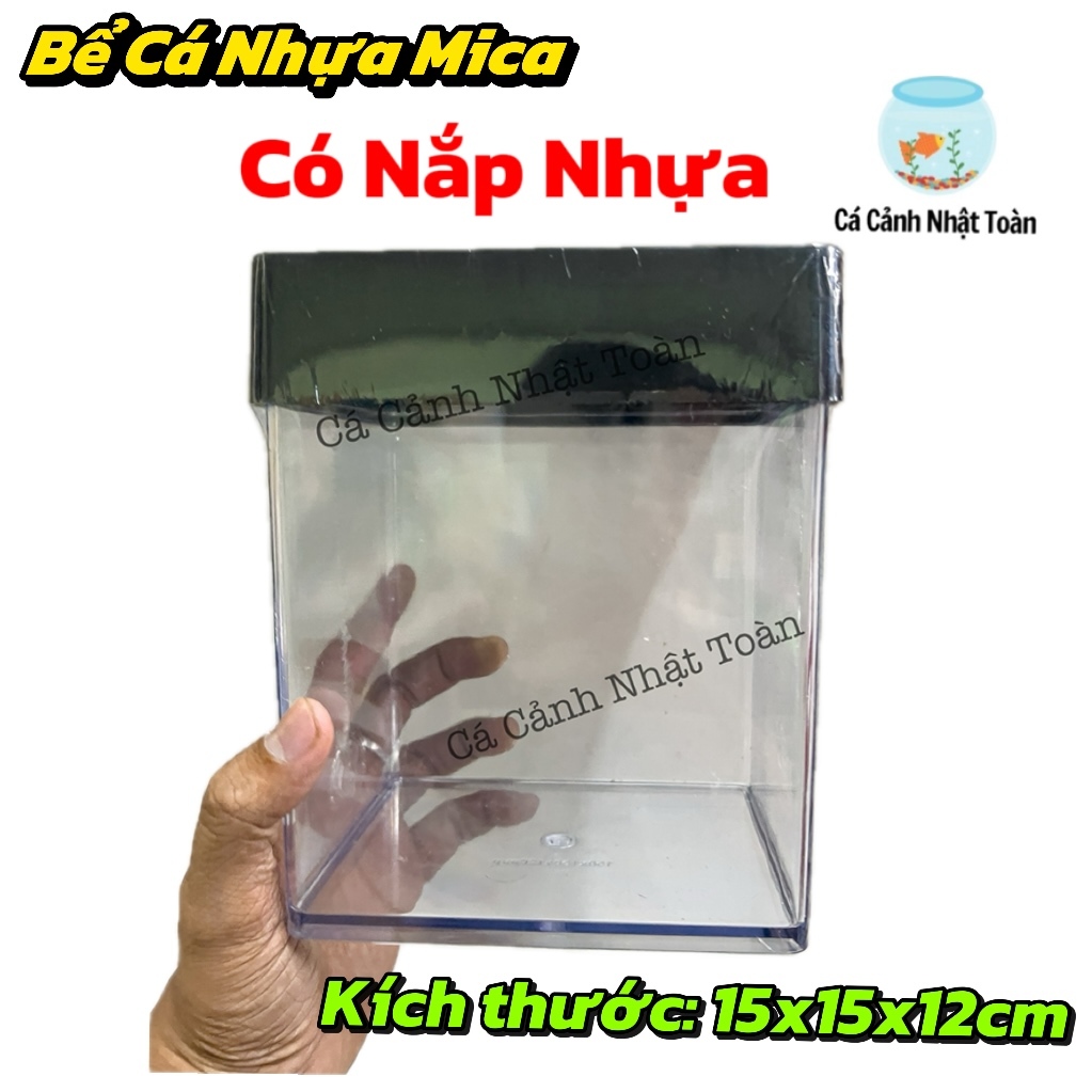 Bể Cá Betta Mica (có nắp) Siêu Trong, Hiện Đai 15x15x12cm