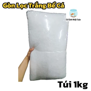1KG GÒN MIẾNG KÍ VẬT LIỆU LỌC HỒ CÁ NON BỘ DÀI 5m4 RỘNG 35cm DÀY 3cm