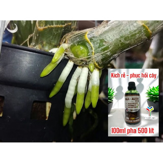 Naa kích thích sinh trưởng cây trồng, Kích rễ cây, bung đọt, phục hồi cây suy yếu Nguyễn Trí 100ml