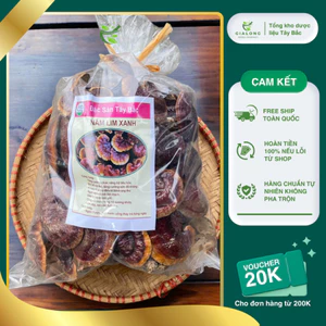 1kg Nấm Lim Xanh hàng Trồng Chất Lượng Cao