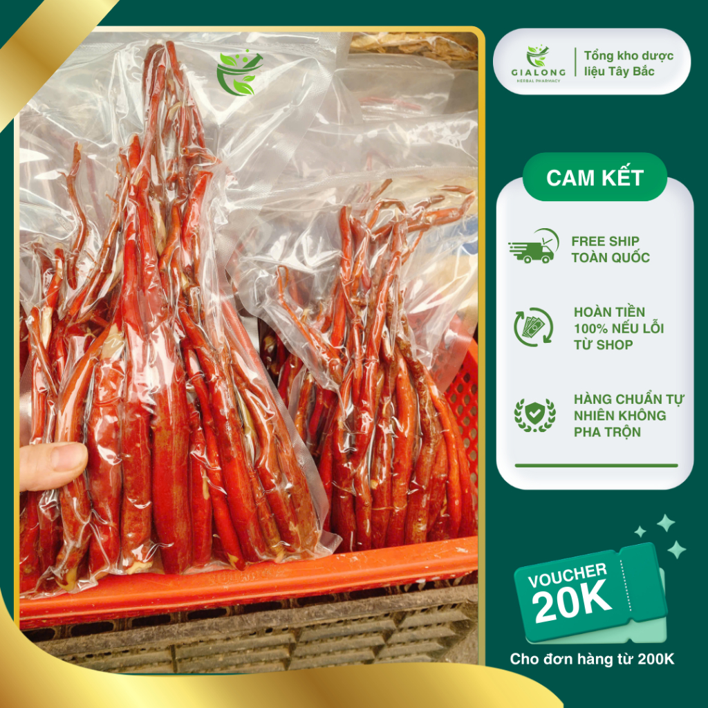 1kg Sâm Cau Đỏ Tươi Loại 1 Chuẩn Rừng Tự Nhiên