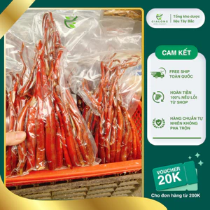 1kg Sâm Cau Đỏ Tươi Loại 1 Chuẩn Rừng Tự Nhiên