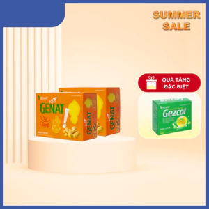 Combo 2 Hộp Kẹo Genat Gừng (Hộp 100 viên) - Genat Snack Ăn Vặt Food Candy kẹo trái cây
