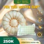 Yến Tươi Khánh Hoà Nguyên Chất - 100% Yến Thật - Gói 200gram + Đồ Chưng Kèm
