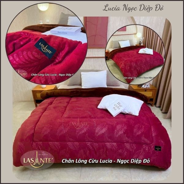 Ảnh Chăn Lông Cừu Đại Hàn Mùa Đông Lucia 3 Lớp Chính Hãng Lasante 2m1x2m4 Nặng 4,3 Kg 2