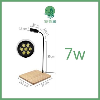 Đèn Led Đế Gỗ - Dùng Cho Bể Thủy Sinh Mini, Bán Cạn, Terrarium - Đế Gỗ Tre Ép Độ Hoàn Thiện Cao