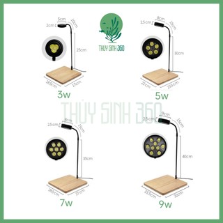 Đèn Led Đế Gỗ - Dùng Cho Bể Thủy Sinh Mini, Bán Cạn, Terrarium - Đế Gỗ Tre Ép Độ Hoàn Thiện Cao