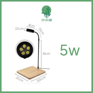 Đèn Led Đế Gỗ - Dùng Cho Bể Thủy Sinh Mini, Bán Cạn, Terrarium - Đế Gỗ Tre Ép Độ Hoàn Thiện Cao