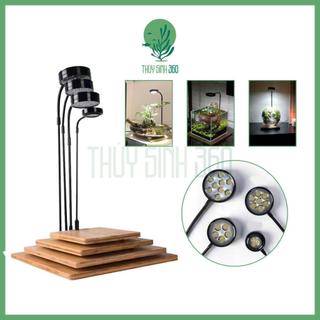 Đèn Led Đế Gỗ - Dùng Cho Bể Thủy Sinh Mini, Bán Cạn, Terrarium - Đế Gỗ Tre Ép Độ Hoàn Thiện Cao