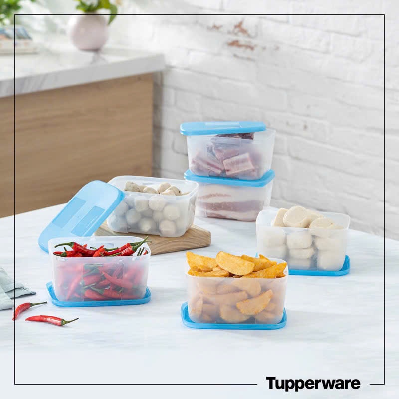 [NEW TUP] Hộp trữ đông Tupperware Freezermate 650ml - Hàng chính hãng - Nhựa nguyên sinh, an toàn