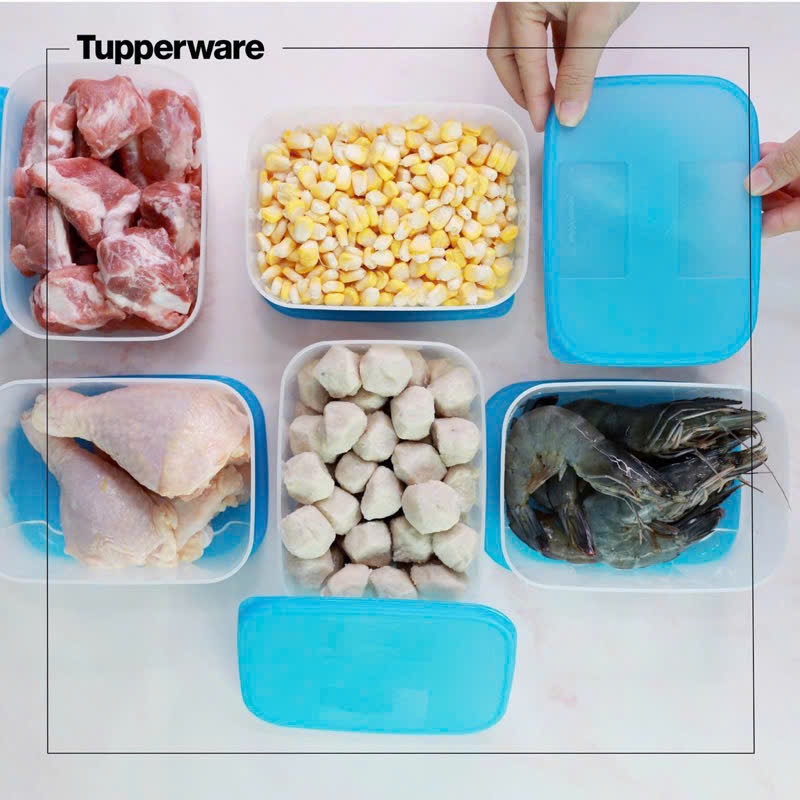 [NEW TUP] Hộp trữ đông Tupperware Freezermate 650ml - Hàng chính hãng - Nhựa nguyên sinh, an toàn