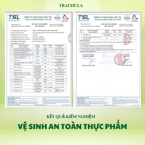 Trà Dây Thìa Canh - Hộp 60 Túi Lọc