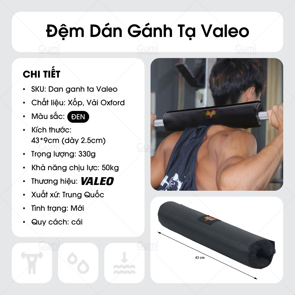 Dán Gánh Tạ Valeo Chính Hãng - Đệm Bảo Vệ Vai Gánh Tạ Squat Tập Gym, Thể Thao - DanGanhTaValeo