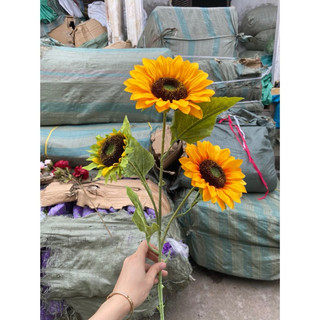 Combo 3 cành hướng dương 3b, dài 90cm ,bông 14cm thân phủ phấn hàng nhập