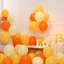 Set 100 Bóng Bay Trang Trí Sinh Nhật ,Bong Bóng Trang Trí Phòng Cưới, Trang Trí Kỉ Yếu, Sự Kiện, Khai Trương BB6