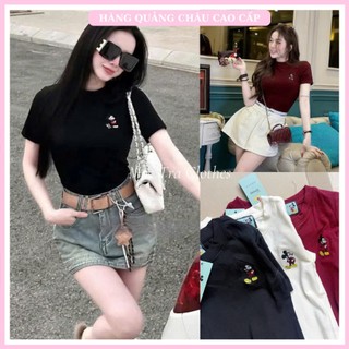 Set 3 áo thun kiểu nữ Loại 1 thêu mickey 3 màu siêu xinh, Áo phông hè nữ ngắn tay trẻ trung rẻ đẹp