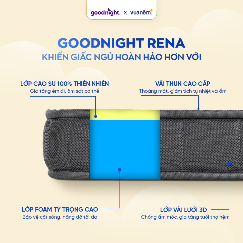 Ảnh Nệm Cao Su Non Vua Nệm Goodnight Rena 10cm, Đệm Cao Su Non Hybrid Lớp Cao Su Thiên Nhiên 4