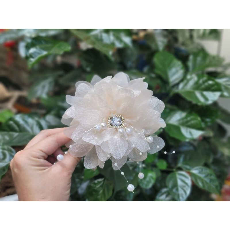 Hoa trắng đá vuông
